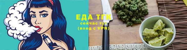 индика Абаза