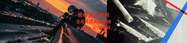 индика Абаза