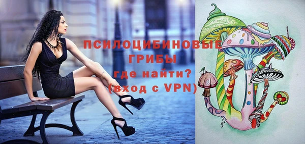индика Абаза