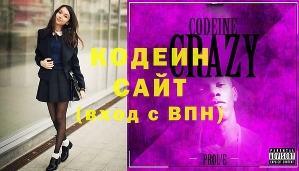 индика Абаза