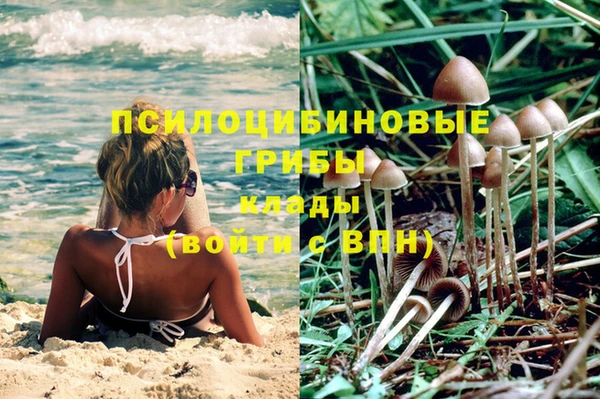 спиды Алексин
